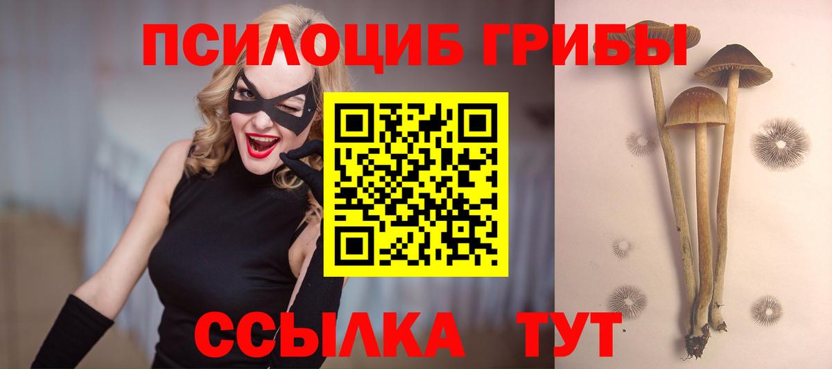 Галлюциногенные грибы прущие грибы  Вход с VPN  Пермь 